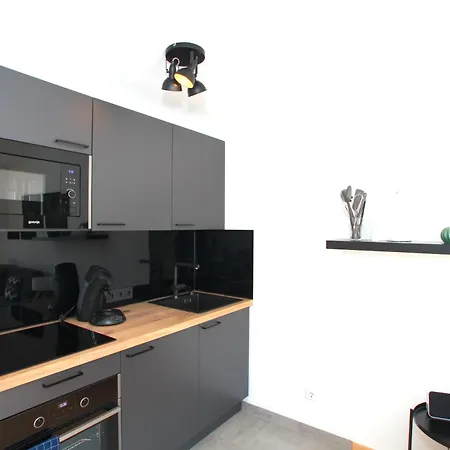 דירה Mila Naehe Messe In פרידריכסהאפן